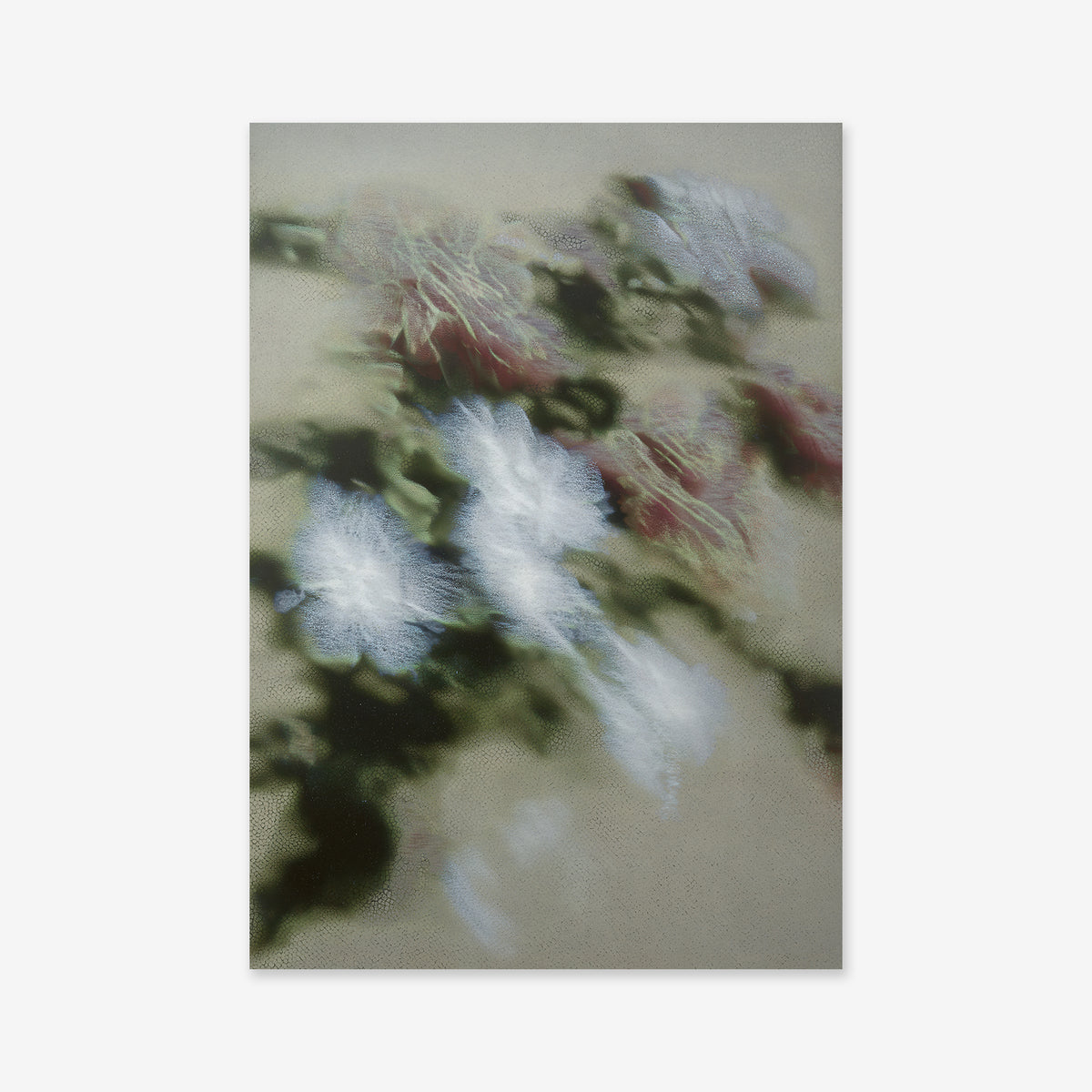 Flora contura: A blurred, abstract image with soft green, white, and reddish shapes evoking flowers and leaves on a neutral backdrop—ideal as a giclée art print for modern interiors.