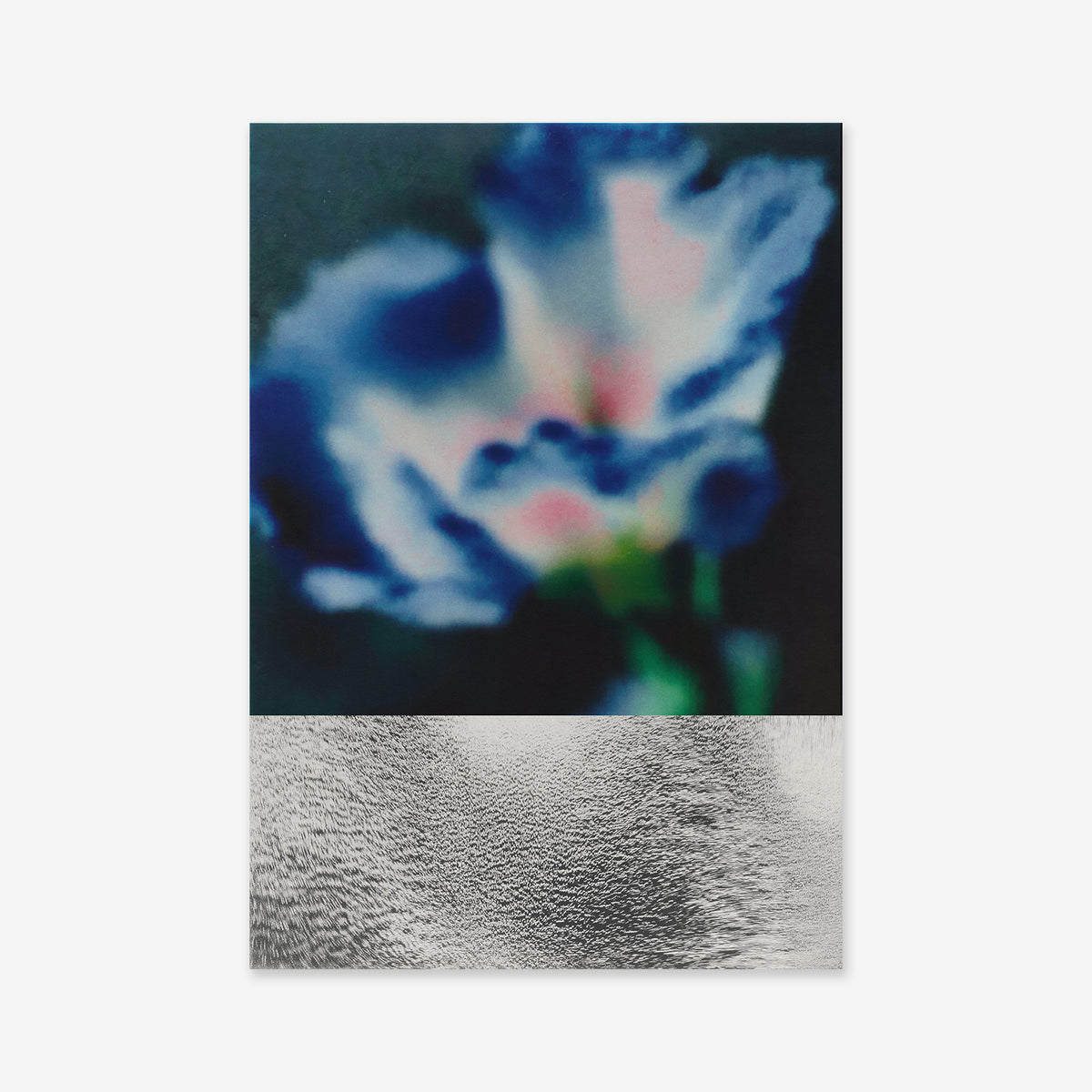 Floral Infusion features a blurred blue and white flower with hints of pink above a textured metallic silver surface on a dark background—ideal as a giclée art print for modern interiors.