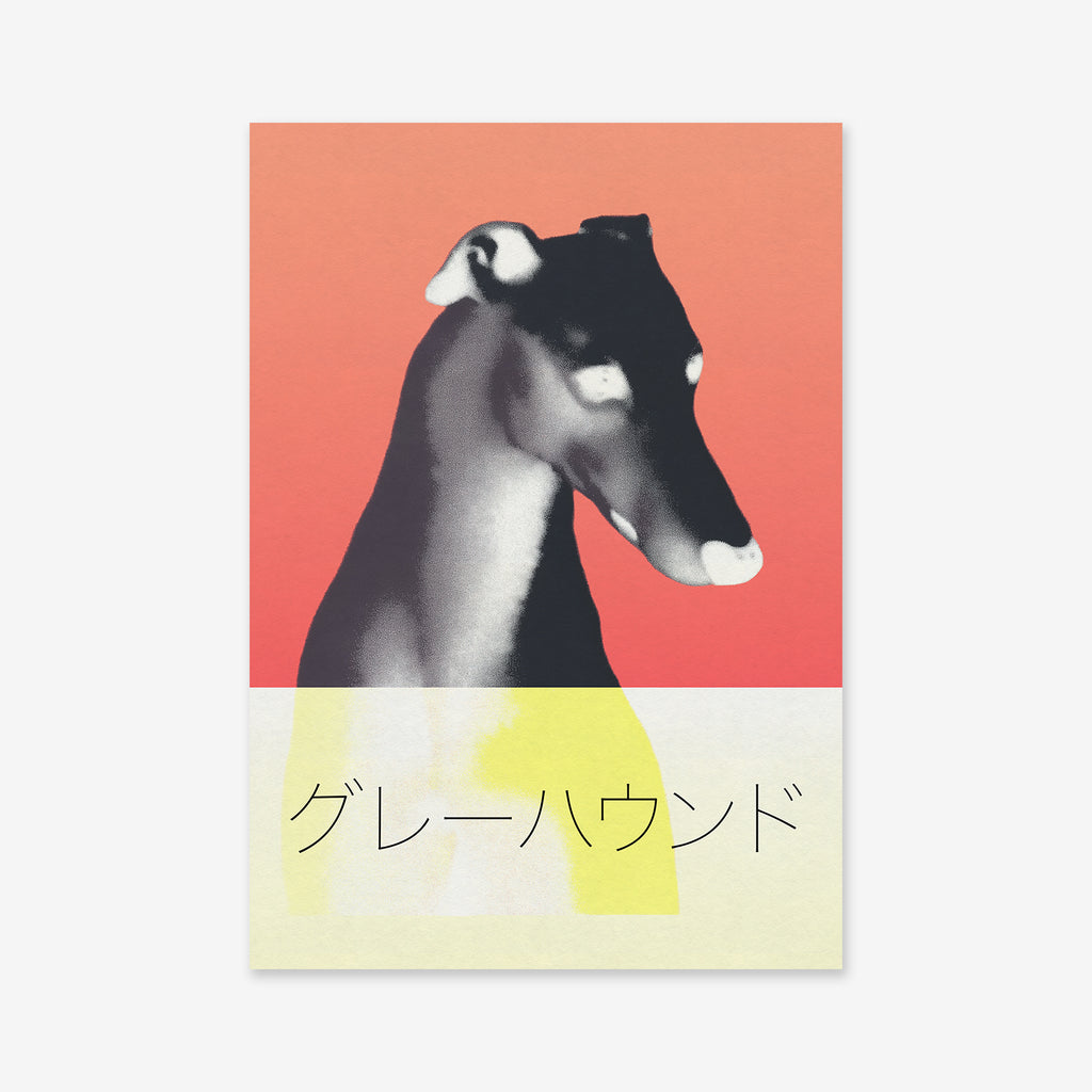 A stylized illustration of a Greyhound on a coral-gradient background, this giclée art print displays black Japanese katakana text グレーハウンド (Greyhound) over a pale yellow and white rectangle at the bottom.