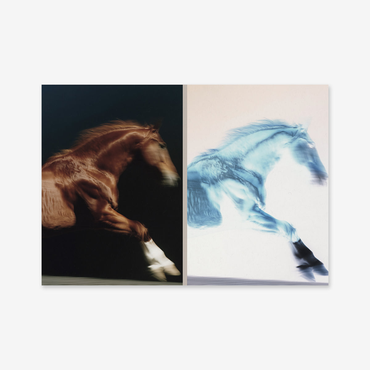 HorseHorse features a split image of a galloping horse: the left in natural brown, the right in blue and white like a photo negative—ideal as a giclée art print to add bold style to any modern space.