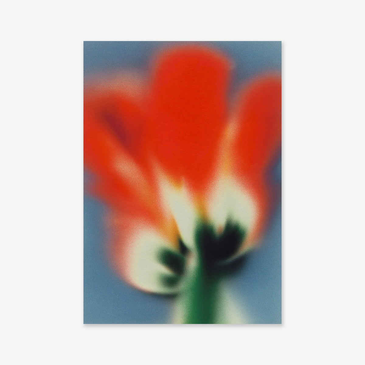 In bloom" is a Giclée art print featuring a dreamy, out-of-focus red and orange flower with a green stem on a blue background—perfect for adding softness to any modern space.