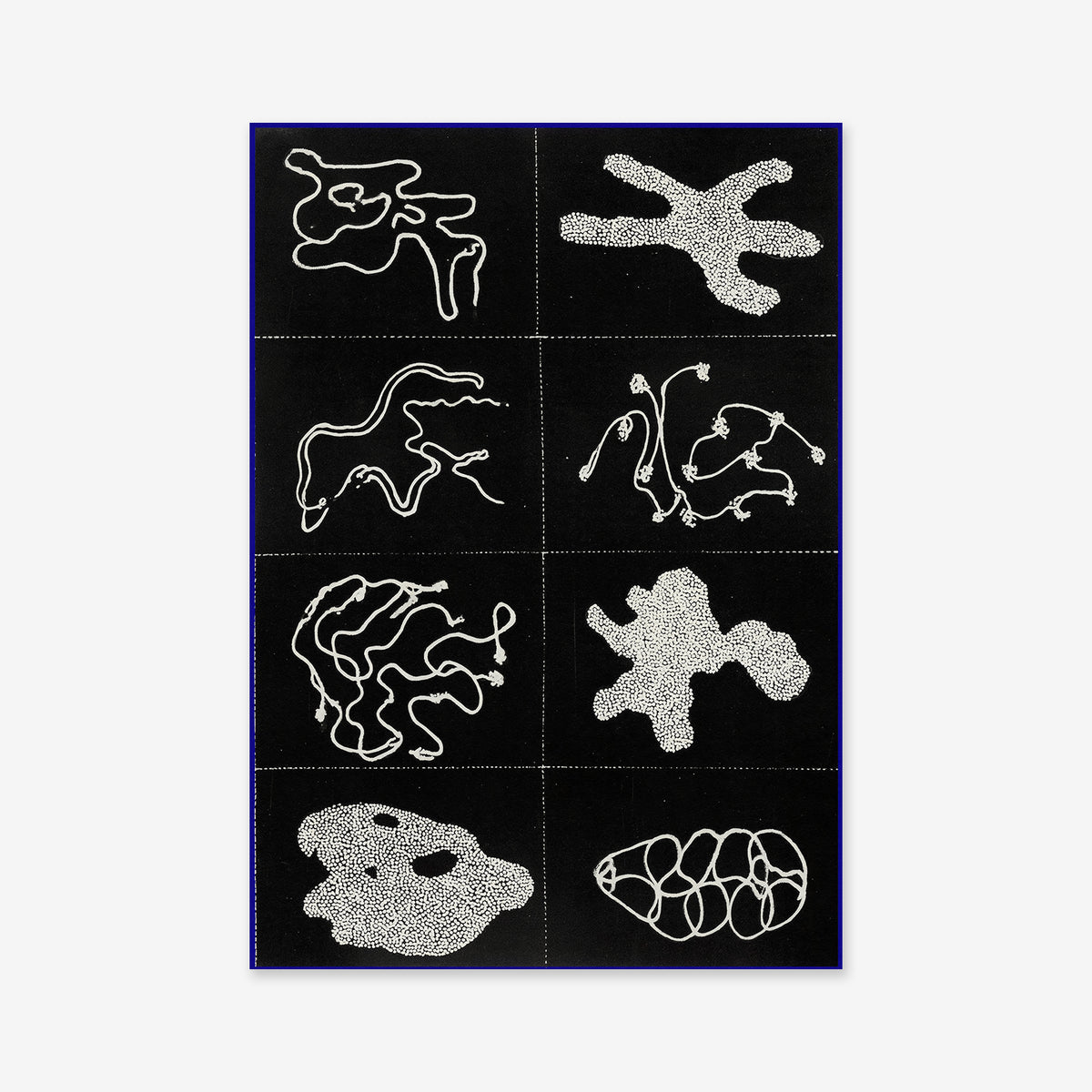Sorting No. 2 features a grid of nine black squares, each with abstract white dot patterns forming unique, organic shapes—like microorganisms or maze designs—making it a striking giclée art print for modern interiors.